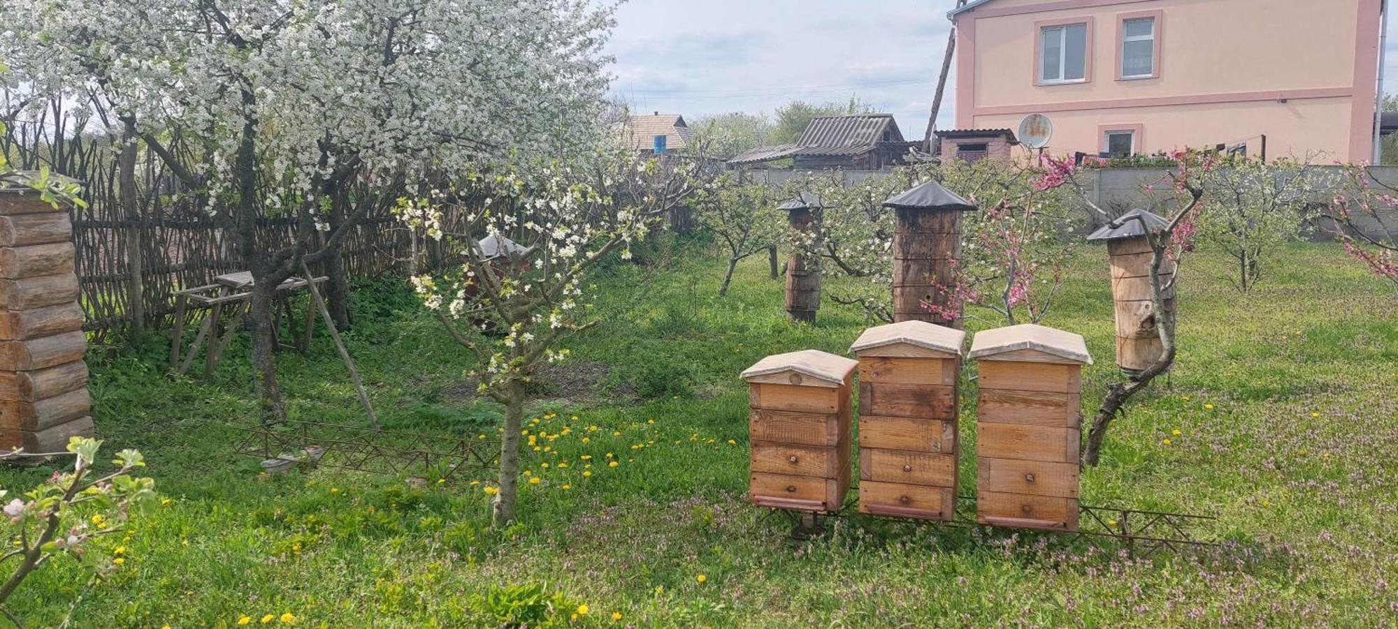 Садиба Зеленого Туризму «Золота Рибка» Medvedevka Exteriér fotografie